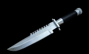 Arwin Enterprises Handmade <b>Clip</b> Point Bowie Knife D2 Steel Flat Edge Blade 3mm Thickness 15 Inch Horn Handle Leather Sheath - Product Image 4