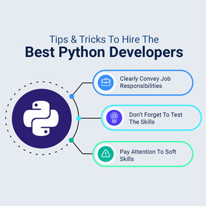 Desarrolladores de Python - Product Image 1