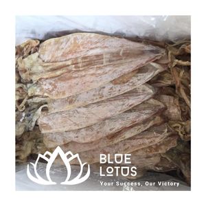 Meilleures ventes : Calamar séché pur et épuré, idéal pour les soupes et les entrées, exportation en gros de produits de la mer - Product Image 1