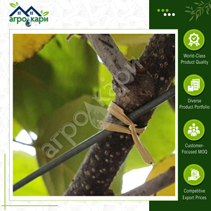 Bakery and <b>Confectionery</b> Products Tying and Packaging Use Excellent Quality Biodegradable Eco-friendly Paper Twist Ties 24cm - Product Image 5