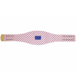 Réplica del Cinturón de Campeonato de los New York Giants - Product Image 4