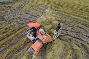 Nouvelle vente chaude HOGICO CR-75VN moteur et boîte de vitesses alimenté Mini presse à balles rondes-Lamineuse automatique de paille pour l'agriculture - Product Image 5