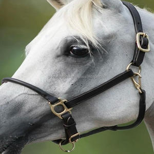 เชือกแขวนคอม้าหนังแบบเม็ดด้านบนพร้อมมงกุฎปรับความสมดุลของคอม้วนแบบปรับได้สองชั้นเชือกแขวนคอม้า - Product Image 5