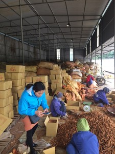 Producto agrícola de calidad superior Cassia/rama de canela en Vietnam sabor dulce picante - Product Image 4