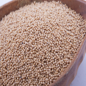 Graines de moutarde de qualité supérieure en gros, vente en vrac, qualité alimentaire, stock disponible, meilleure qualité pour l'exportation - Product Image 2