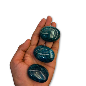Pierre de palmier en apatite bleue naturelle, vente en gros, surface polie et lisse, cristal de pierre précieuse en apatite bleue pour la maison et le Feng Shui - Product Image 4
