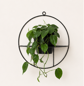 Modern Minimalist Circular Metal Wall Planter Black Powder Coated Iron Hanging Plant <b>Pot</b> for Indoor Living Room & Garden - Product Image 1
