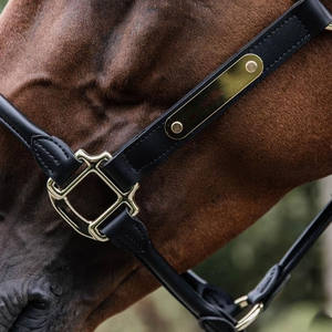 Harnais de polo réglable conçu pour un confort optimal, une manipulation sécurisée, l'entraînement, l'utilisation en écurie et les soins quotidiens équestres. - Product Image 4