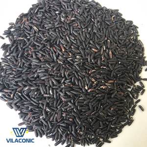 Arroz Negro Orgánico Sin OMG y Sin Gluten, Arroz Natural Saludable de la Fábrica VILACONIC [Sandra] - Product Image 3