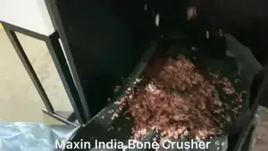 Machine à déchiqueter la viande et les os à double arbre, semi-automatique, électrique, capacité de 100 à 200 kg/h, équipement de traitement, vente chaude - Product Image 3