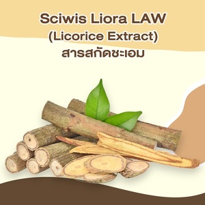 สารสกัดชะเอมเทศ SciWis Liora LAW - Product Image 4