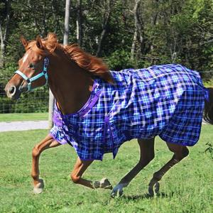 Productos de Equipo Ecuestre de Alta Calidad, Mantas Impermeables para Caballos, Transpirables, Económicas y Cómodas - Product Image 4