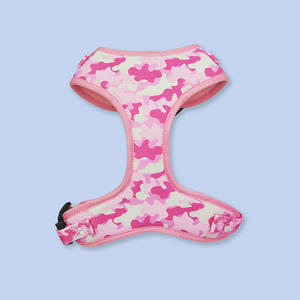 Collare di raffreddamento estivo personalizzato tattico altri collari per animali domestici guinzaglio borsa da viaggio imbracatura per cani - Product Image 1