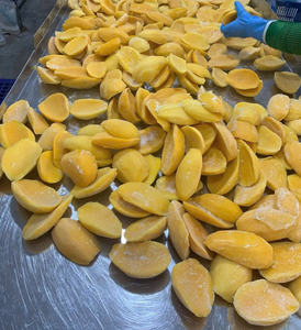 Mango en Rodajas Congelado de Grado Alimenticio, Envasado al Vacío a Granel, Conservación en Agua, Ingrediente Tropical Vibrante para Batidos y Uso en Panadería, de Vietnam - Product Image 3