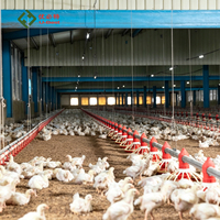 Système d'élevage au sol pour poulets de chair et reproducteurs en élevage libre, avec mangeoire à plat et ligne d'abreuvement entièrement automatique