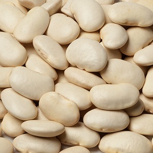 Haricots blancs de qualité supérieure pour la vente en gros – Achetez des haricots blancs au meilleur prix du marché et d'une fraîcheur supérieure pour les acheteurs - Product Image 4