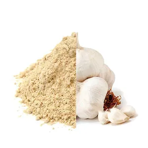 Ajo en Polvo Orgánico Premium, Procesado por AD, Molido Fino, Especia para Cocinar en Casa y para la Industria Alimentaria - Product Image 1