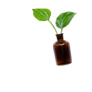 Aceite esencial de hoja de Betel superventas a precio mayorista - Product Image 4