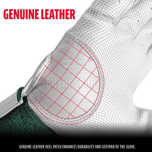 Nouveaux gants de baseball arrivés, fabriqués au Pakistan, fournisseur direct d'usine, gants de baseball les plus vendus - Product Image 5
