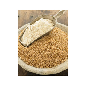 Harina de trigo a precio económico, suministro a granel, entrega rápida, trigo nutritivo al por mayor - Product Image 1