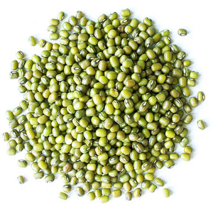 Haricots Mungo Verts en Gros, Haricots Mungo Verts Décortiqués - Product Image 6