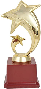 Trophée étoile avec base en bois – Trophée personnalisé pour événements sportifs, scolaires, d'entreprise, cérémonies de récompenses et d'hommages - Product Image 4
