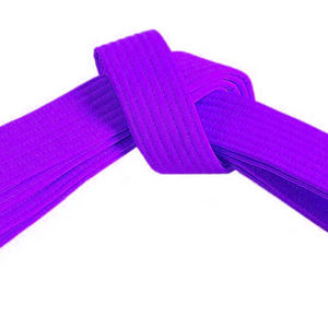 Ceinture de karaté de marque privée, prix de gros, prix bas, taille et couleurs personnalisées, ceinture de karaté pour adultes, qualité supérieure - Product Image 2