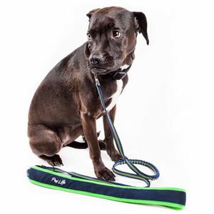 Correa para Mascotas Manos Libres con Absorción de Impactos, para Usar Sobre el Hombro, Free Fetcher - Product Image 1