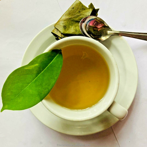 Hojas de Guanábana Vietnamita Secas al Sol de la Mejor Calidad, Puro Orgánico y Aromático, Cuidadosamente Seleccionadas, Compra al por Mayor OEM - Product Image 6