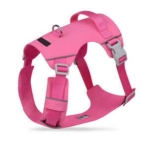 Arnés Ajustable para Perro, Nuevo Modelo 2026, Reflectante, Acolchado, con Clip Frontal y Asa, Impermeable, de Nailon, Multicolor - Product Image 2