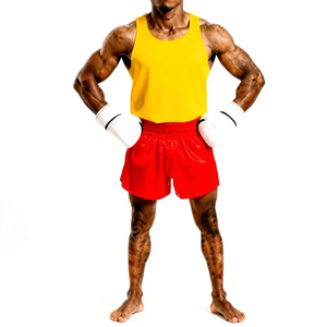 Ensemble de boxe en coton pour l'entraînement avec gants, short et haut durables pour toutes les saisons - Product Image 1
