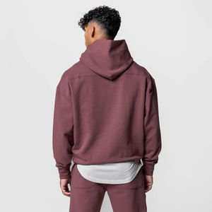 Survêtements personnalisés pour hommes et femmes, sweats à capuche épais 500 GSM 350 GSM en molleton polyester/coton brodé, et shorts amples - Product Image 2
