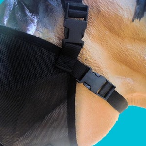 Masque anti-mouches en cuir véritable pour chevaux, protection estivale, maille respirante, protection UV, design doux pour les oreilles et le nez, pour l'équitation - Product Image 5