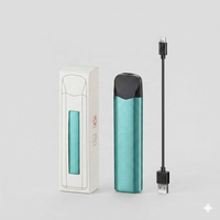 Briquet USB Métallique Fin Jetable 50K Rechargeable Électronique Coupe-Vent Sans Flamme à Arc Plasma pour Fumeur