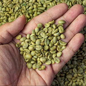 USDA Specialty Vietnam Robusta Green Coffee <b>Beans</b> Size 16, Premium Export Quality with Broken & Black 0.1%, Moisture 12.5% - Product Image 1