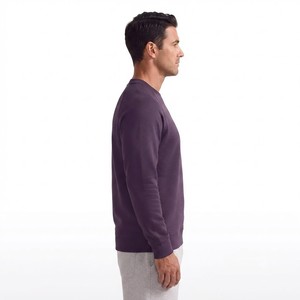 Sweat-shirt en tricot à col rond et manches raglan pour homme, couleur unie, coupe classique, en coton, décontracté, pour l'automne - Product Image 3