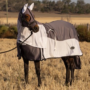 Couvertures pour chevaux personnalisables professionnelles pour utilisation en écurie Westcoast Equine - Product Image 3