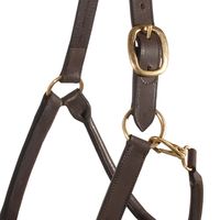 Harnais de cheval en cuir de vache argentin de qualité supérieure, style équestre western, décoré de turquoise, d'alligator et de tête de taureau