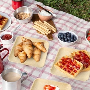 Assiettes jetables écologiques biodégradables en feuilles de palmier, robustes, carrées de 7 pouces, pour traiteur et événements extérieurs 2026 - Product Image 4