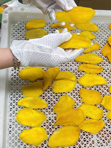 Mango Deshidratado, Fruta Tropical, Snack Deshidratado para Repostería, Cobertura de Postres y Venta al por Menor, Suave y Masticable, Origen Vietnam - Product Image 2