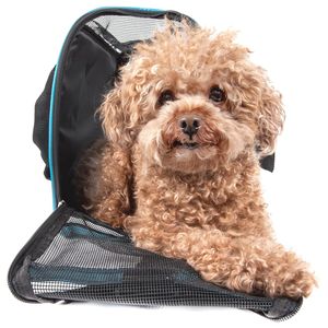 Transportín para Mascotas con Cierre, Deportivo y Aprobado por Aerolíneas, Diseño Moderno Altitude Force - Product Image 2