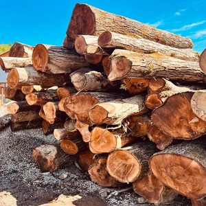 Troncos de Madera al por Mayor, Madera Senya de Alta Calidad, Troncos Redondos de Madera Dura de Teca - Product Image 1