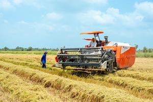 รถเกี่ยวข้าว DC 108X รุ่นมาตรฐานในประเทศไทย ยอดขายดีที่สุด ประสิทธิภาพสูง ทนทาน เครื่องจักรกลการเกษตร - Product Image 4