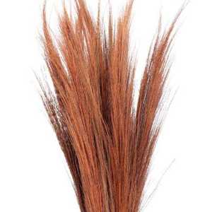 Herbe de balai séchée naturelle de bonne qualité, herbe décorative d'intérieur pour mariage, décoration d'Halloween, taille personnalisée, fleur séchée 26 - Product Image 1