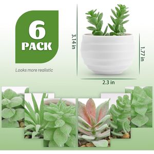 Set di 6 Piccole Piante Succulente Artificiali con Vasi per Decorazione Camera da Letto, Soggiorno, Bagno o Ufficio - Product Image 2