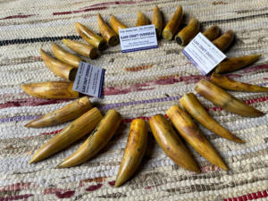 Cuerno de Búfalo Natural Ecológico, Pulido, con Punta Quemada, Rústico, para el Año Nuevo Chino, de Alta Calidad - Product Image 3