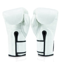 Gants de boxe Fairtex de style professionnel, haute qualité, 100% cuir véritable, gants d'entraînement de Muay Thai les plus vendus pour adultes