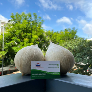 Noix de coco exportée de qualité taillée au diamant du Vietnam Eau naturellement douce Longue durée de conservation Garnie pour emballage au détail et en vrac - Product Image 5