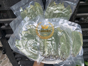Hojas de guanábana 100% naturales de Vietnam, hojas de guanábana secas para té, venta al por mayor, hojas de guanábana secas de alta calidad en bolsa al vacío - Product Image 4