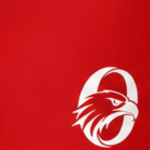 <b>Red</b> Football <b>Shorts</b> Athletic Uniform <b>Shorts</b> Team Training Wear Custom Sports Apparel Performance Clothing - Product Image 6